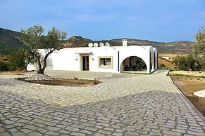 Villa in the Mountains Hammamet