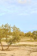 Finca las Calmas