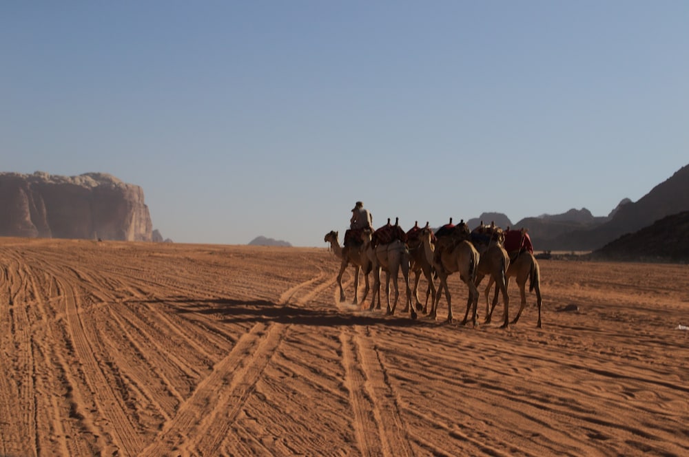 BEDOUIN NOMDAS ADVENTURES