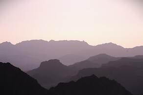 BEDOUIN NOMDAS ADVENTURES