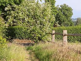 Oak Meadow