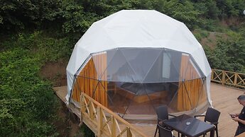 Zedome Panorama