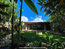 BANYAN217