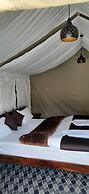 Rebo Camp- Hunder