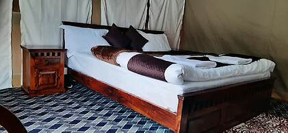 Rebo Camp- Hunder