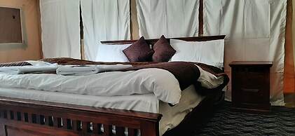 Rebo Camp- Hunder