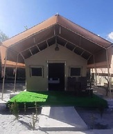 Rebo Camp- Hunder