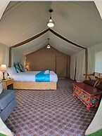 Rebo Camp- Hunder