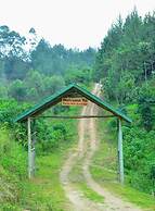 Gorilla Hills Eco Lodge