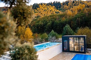 Carpentiere Arena Hotel & SPA