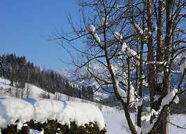 Apartment in Kleinarl Near Ski Slopes