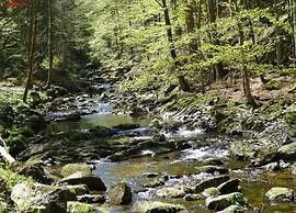 Appartement Bernhard im Bayerischen Wald
