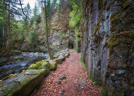 Apartment in Freyung Near Bavarian Forest