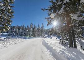 Apartment in Mittersill Near Ski Slopes