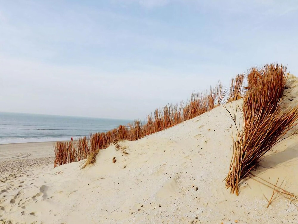 Restful Dune Chalet in Hollum