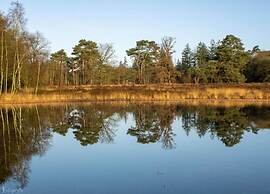Bungalow met Omheinde Tuin op de Veluwe
