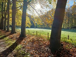 Bungalow met Omheinde Tuin op de Veluwe