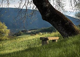 Charming Family Retreat in Umbria