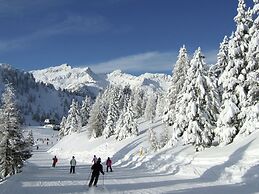 Apartment in Celledizzo Near Ski Bus