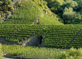 Junkerath Romantic Garden Stay