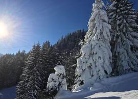 Chalet in Mittersill Near Ski Slopes