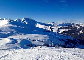 Chalet in Mittersill Near Ski Slopes