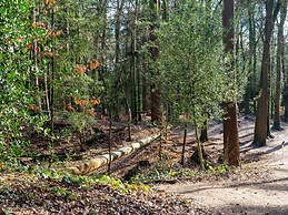 Nice Holiday Home in Appelscha With Garden
