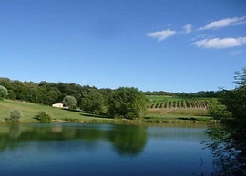 Tuscan Retreat in Montalceto
