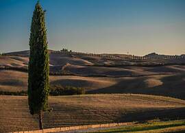 Tuscan Retreat in Montalceto