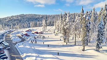 Apartment in Langdorf Near Ski Trails