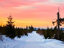 Apartment in Langdorf Near Ski Trails