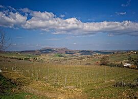 Peaceful Villa Stay in Tuscany