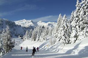 Apartment in Celledizzo Near Ski Area