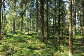 Holiday Home in Altmelon Near Weinsberg Forest