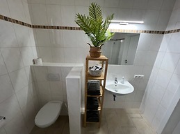 Apartment in a Charming Area