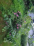 2 bed Room Quite and Central House in Orebro