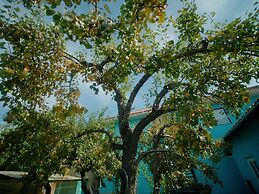 Guesthouse Alakol