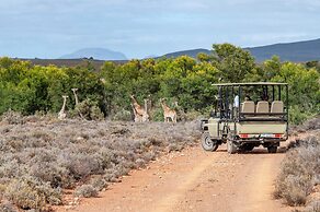 Mont Eco Game Reserve