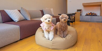 Rakuten STAY VILLA Yatsugatake
