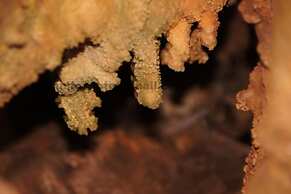 Giannakis Filoxenia