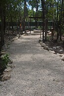 Glamping Mayan Glam