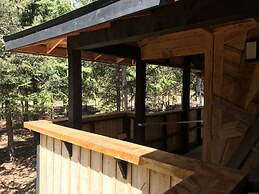 Wild Pines Cabins