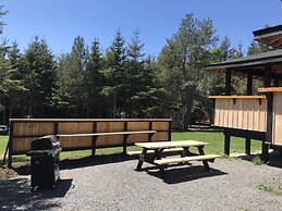 Wild Pines Cabins
