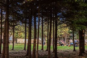 Wild Pines Cabins