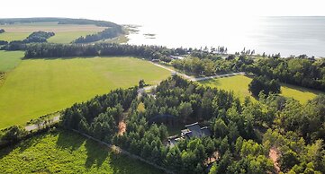 Wild Pines Cabins
