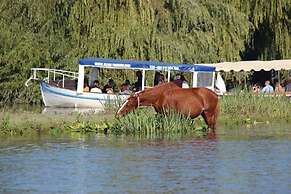 Barco Casa Ollem