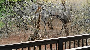 Kruger Kumba - Mugwenzi