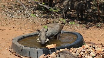 Kruger Kumba - Mugwenzi