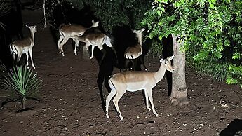 Kruger Kumba - Mugwenzi