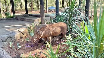 Kruger Kumba - Mugwenzi